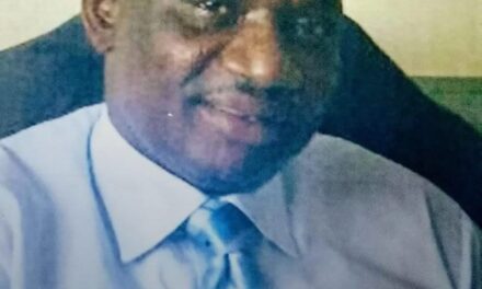 Nigeria Has No Government – Octabase Bsl