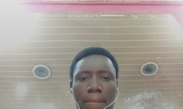 Charles Soludo should destroy Onitsha main market and build a Home for prostitution – Sunday Calistus