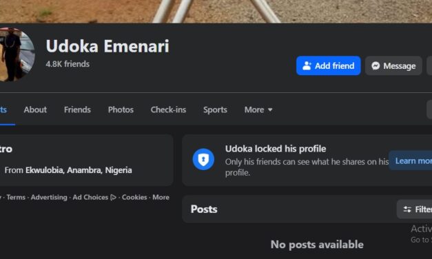 Having Sex With A Married Man Is A Beautiful Source Of Income – Udoka Emenari