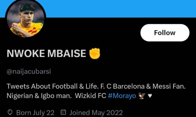 Manipulating Women Of Hard Their Earned Money Is Okay If They Love You – naijacubarsi