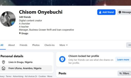 Single Men In Their Late 30s Is Because If Bad Character – Chisom Onyebuchi