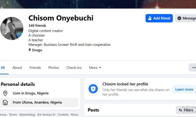 Single Men In Their Late 30s Is Because If Bad Character – Chisom Onyebuchi