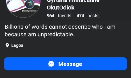 The Position You’ve Been Given Is An Opportunity To Steal As Often As Possible – Gyftalia Immaculate OkutOdiok