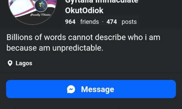 The Position You’ve Been Given Is An Opportunity To Steal As Often As Possible – Gyftalia Immaculate OkutOdiok