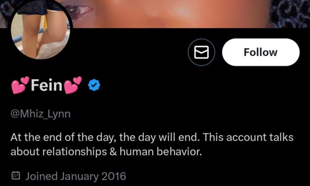 Men are intimidated by successful women – Mhiz_lynn